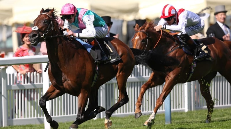 Kingman suffered the only defeat of his six-race career in the 2000 Guineas, where he finished second to Night Of Thunder