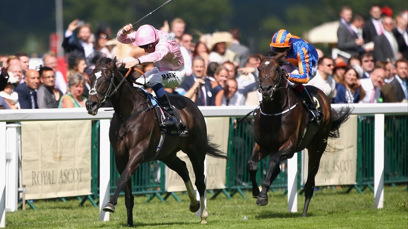 Connections and fans of The Fugue will be hoping that conditions remain quick at Sandown