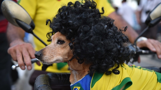 It's a dog's life: Brazilian fans gather at the FIFA Fan Fest in Copacabana Beach in Rio de Janeiro