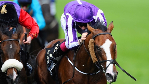Leading Light is a two-time Group One winner
