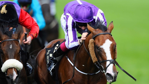 Leading Light is a two-time Group One winner