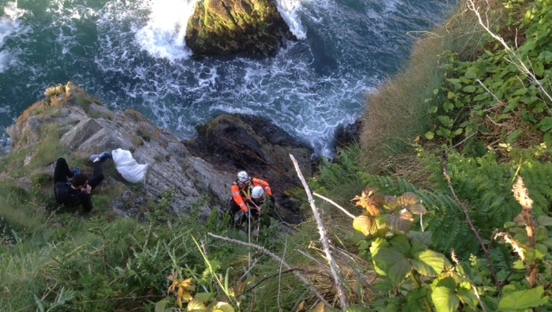 Two men were rescued from cliffs on Howth Head Pic: Irish Coast Guard