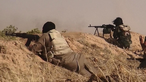 A number of Irish citizens are believed to have fought for ISIS (file image)