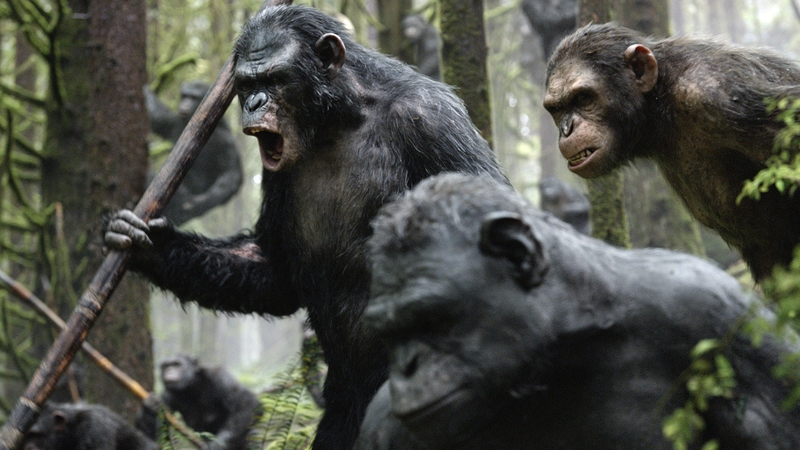 Dawn of the Planet of the Apes is released on Thursday July 17