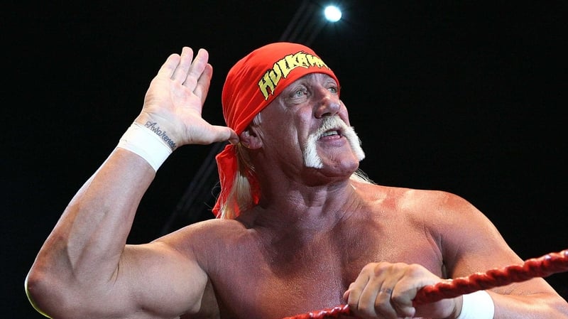 Hulk Hogan said the US team was going to 'run wild' on Germany