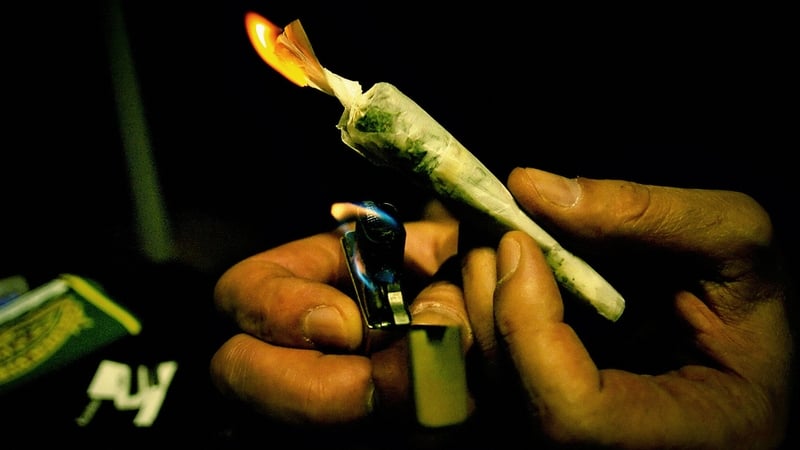 The study found that the more cannabis consumed the greater the risks