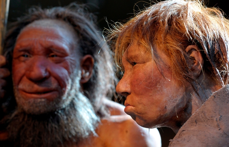 Reconstructions of a Neanderthal women and man at the Neanderthal Museum of Mettmann, Germany