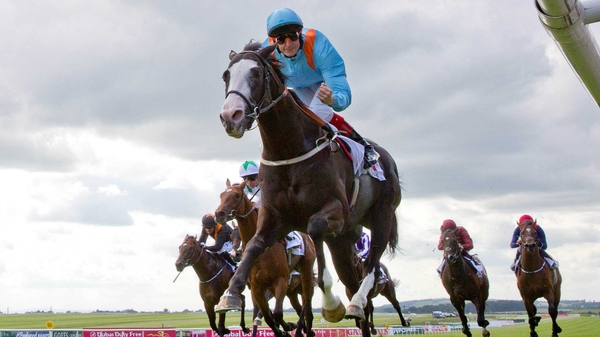 Connections of Kool Company have campaigned the son of Jeremy aggressively during his juvenile season