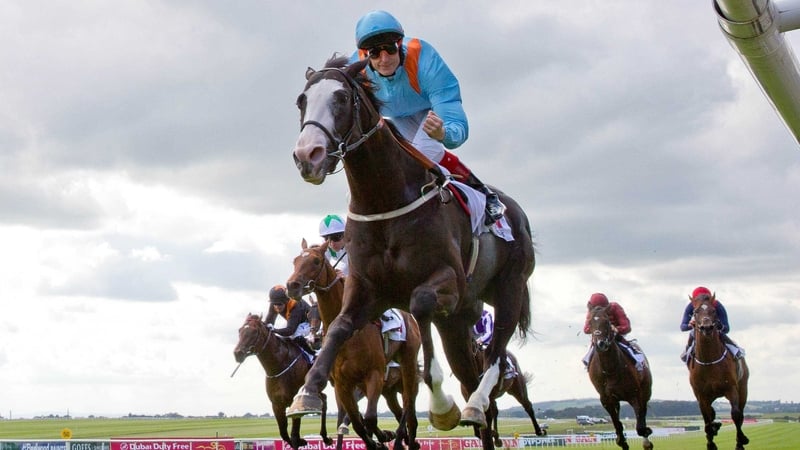Connections of Kool Company have campaigned the son of Jeremy aggressively during his juvenile season