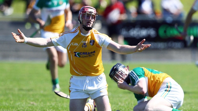 Meanwhile, Antrim's PJ O'Connell makes an earnest appeal during the hurling qualifier against Offaly