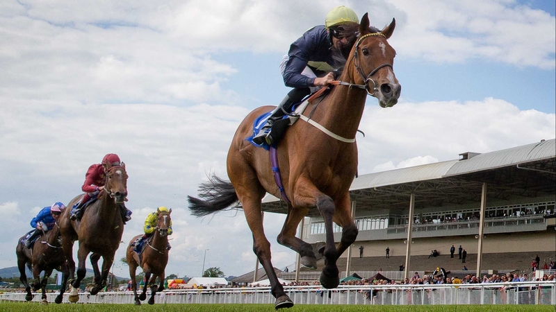 Thistle Bird comes home to win by two and three-quarter lengths