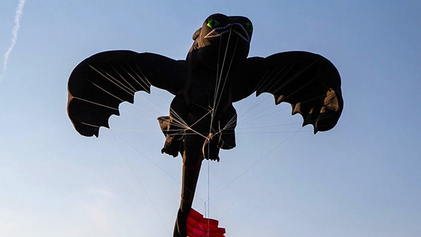 Toothless arrives