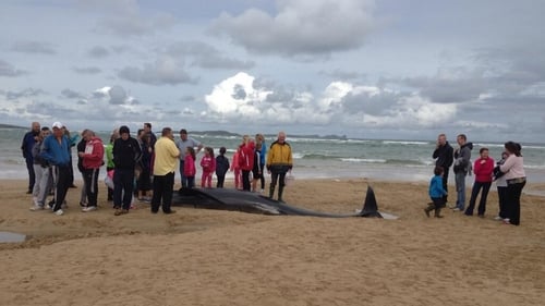 A crowd gathered on the beach in Co Donegal