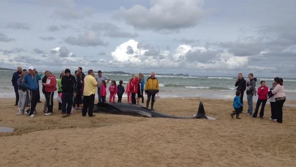 A crowd gathered on the beach in Co Donegal