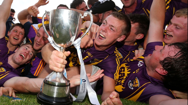 Aidan Nolan and the Wexford players celebrate with the cup after the game