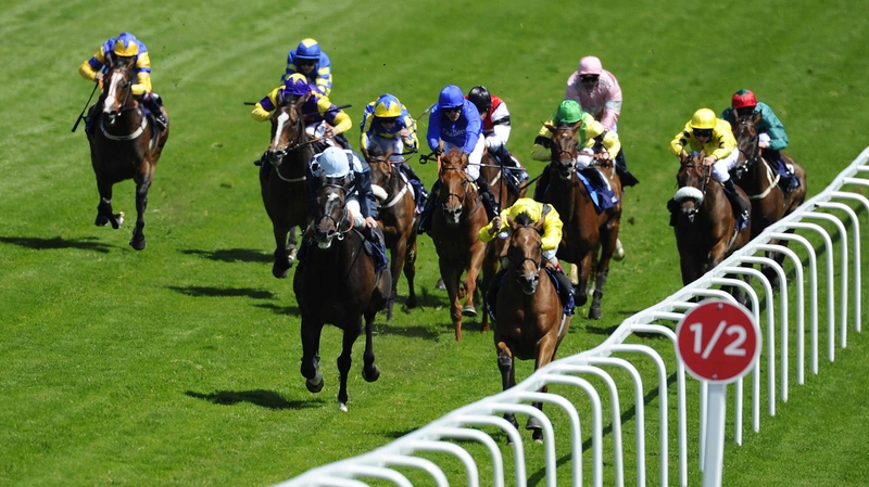 Roger Varian's Farraaj (l, yellow) will start widest of all after being drawn in stall 22