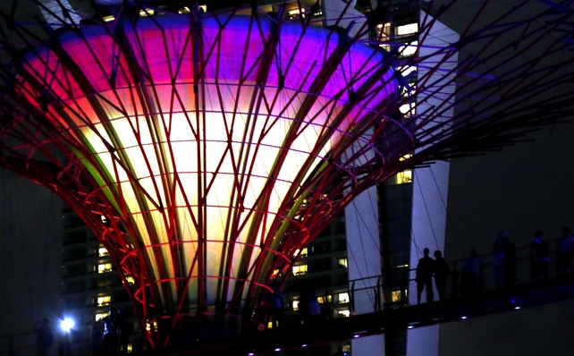 The supertrees incorporate environmental technologies such as solar power, rainwater collection and a conduit for air from the cooling systems