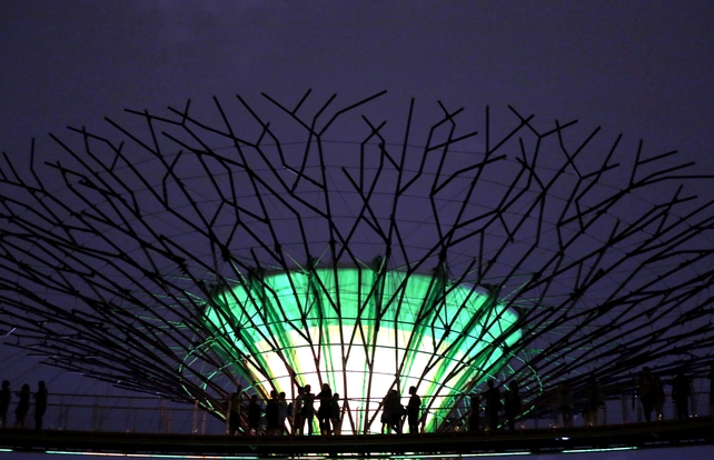 They were part of a sound and light show at the Gardens by the Bay