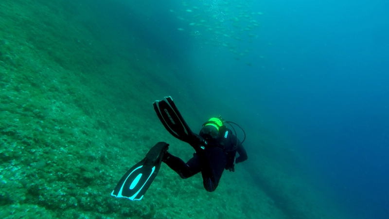 Five divers have been killed in separate accidents in the past month
