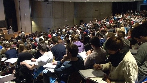 Almost 40% of last year's graduates found employment in Ireland