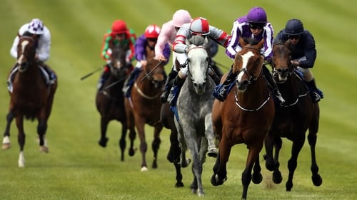 Plenty of action at Killarney today