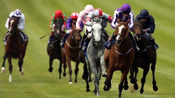 Plenty of action at Killarney today