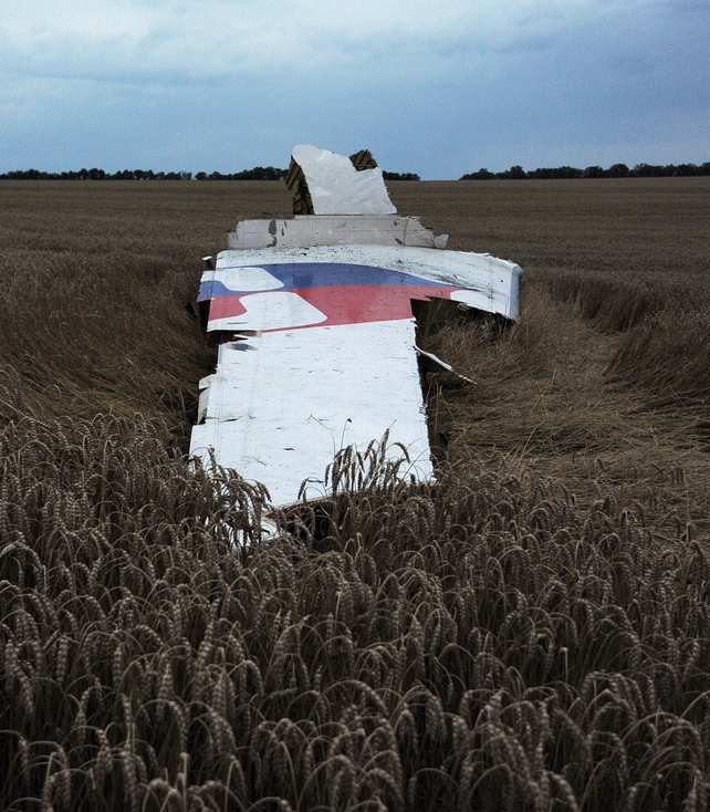 Debris of the Boeing 777 is seen in a field near Donetsk, Ukraine