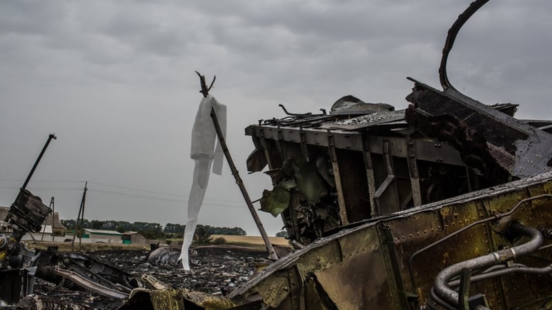 The Malaysia Airlines flight exploded over insurgent-held east Ukraine on 17 July, killing all 298 on board