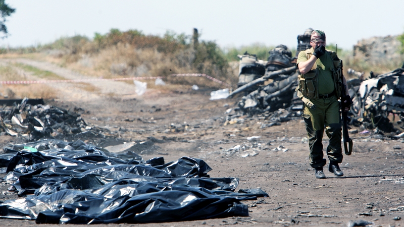 Rebels announced a ceasefire within a 10km radius around the crash site