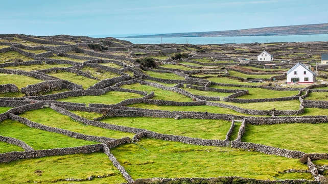 A glorious shot on Inisheer (Pic: David Mossy)