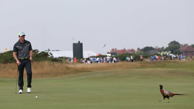 A pheasant walks past Rory McIlroy during day two of the Open at Royal Liverpool Golf Club on Friday