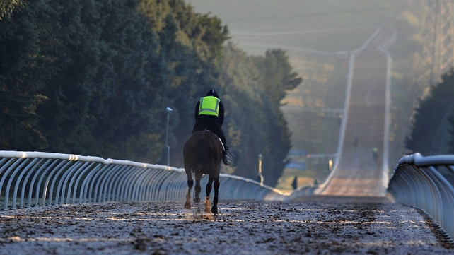Horses work in frosty conditions at Ballarat in Victoria, Australia