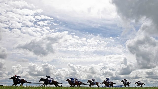 A general view of the field in the first race of the day at the Curragh on Saturday