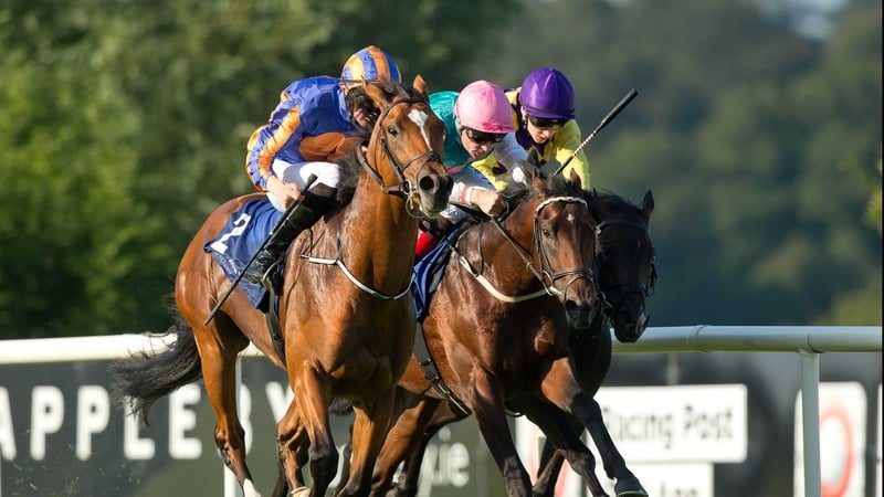 Gleneagles heads into the National Stakes having won his last three starts