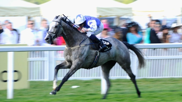 Pique Sous winning at Royal Ascot in 2014