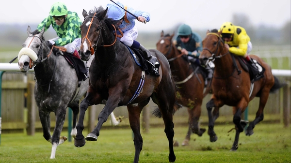 Toormore holds entries in the Sussex Stakes and the Lennox Stakes at Glorious Goodwood later this month