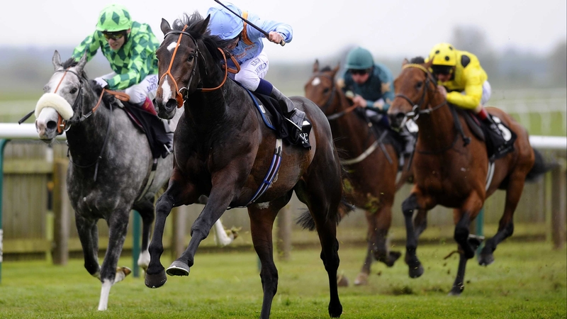 Toormore has disappointed twice since claiming the Craven Stakes