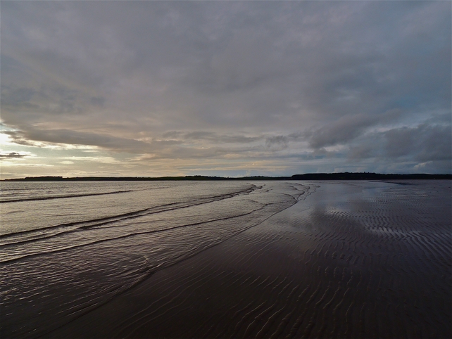 A beautiful summer's evening at Lower Rosses, Sligo, looking across onto Lissadell (Pic: Barry Mulholland)