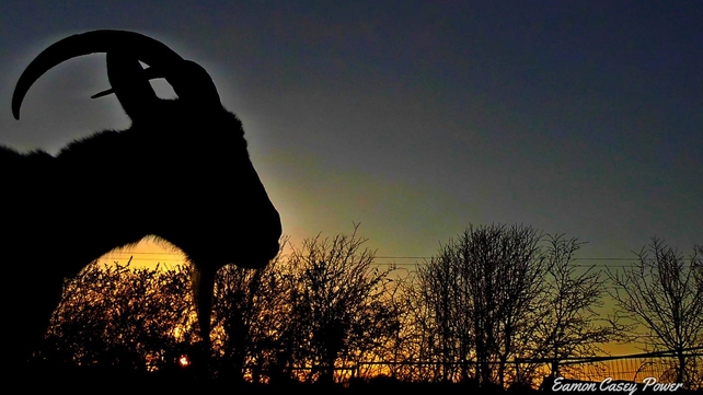 Eamon Casey Power sent in this photo