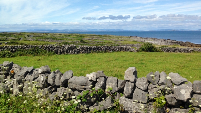 Inis Mór in the Aran Islands (Pic: Derval O'Brien)