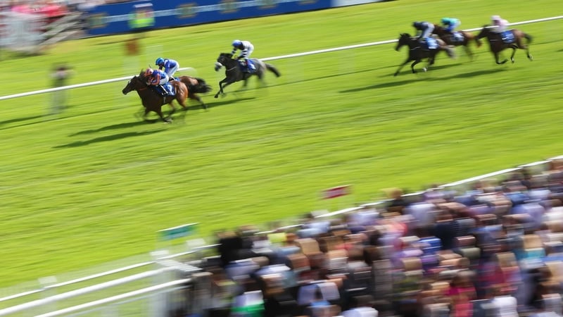 Wayne Lordan onboard Legatissimo