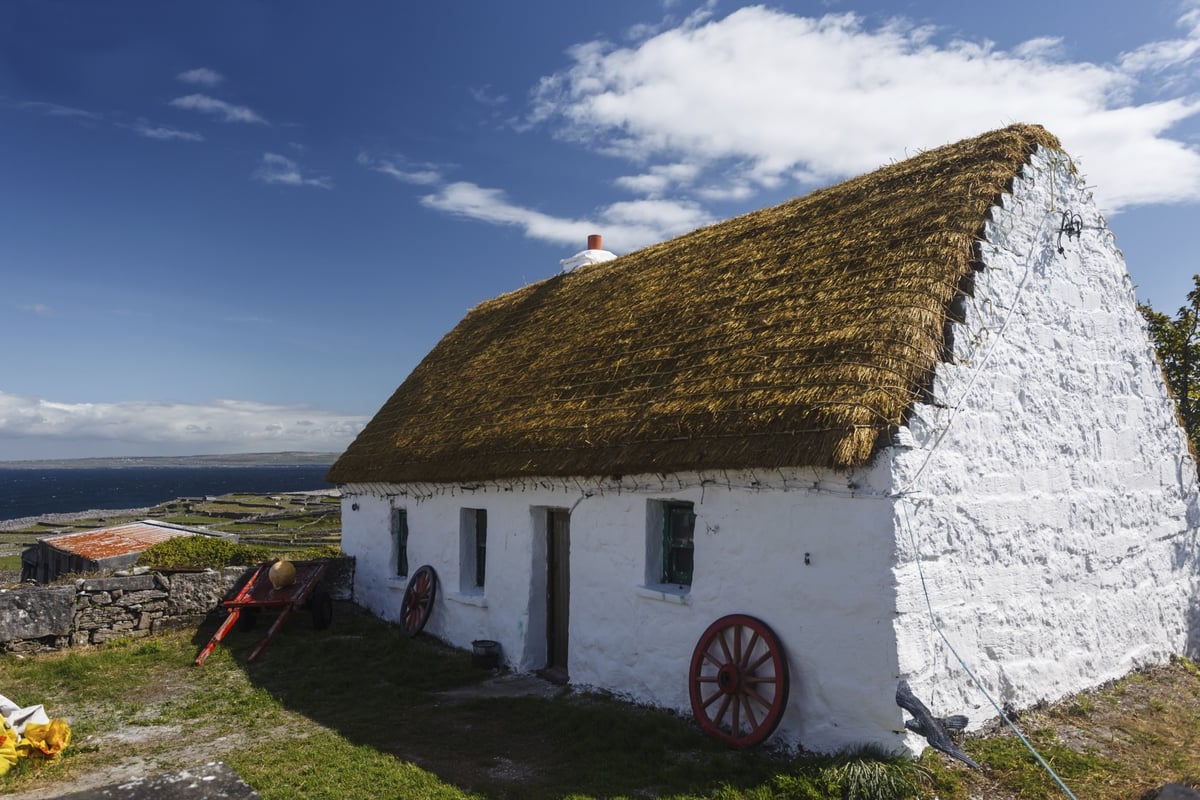 Female Roof Thatcher on The Ryan Tubridy Show