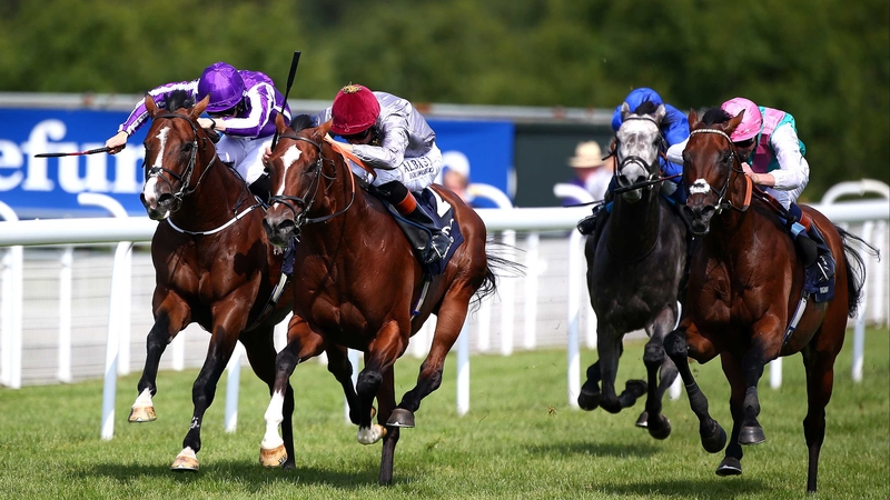 Kingman's Sussex Stakes sectionals (in seconds): 16.14, 14.53, 13.93, 13.00, 11.85, 11.12, 10.23, 10.73