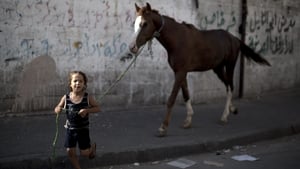 Many people, including this boy, were keen to check on their prized possessions