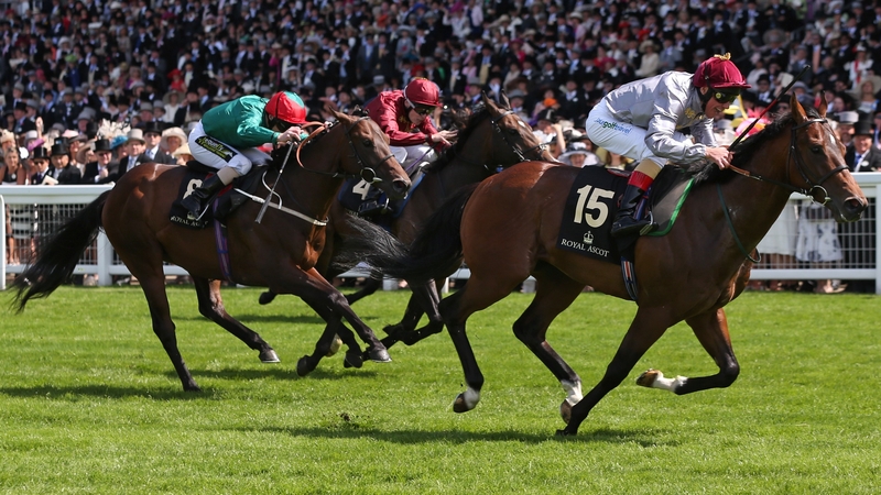 The Wow Signal is unbeaten in two starts