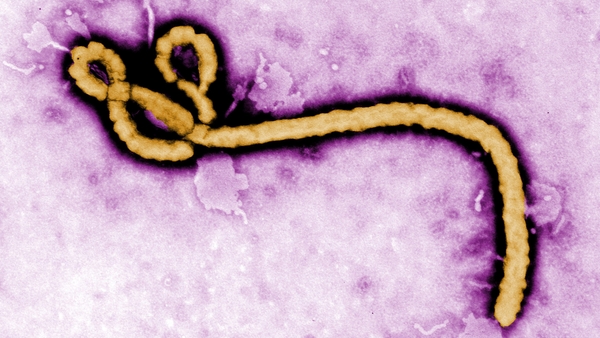 States of emergency have been declared to try to slow the spread of the disease