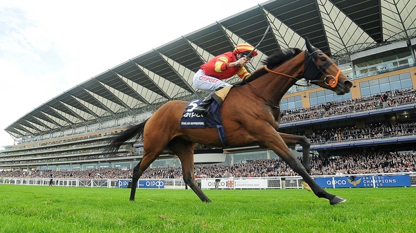 Seal Of Approval looks set for a run out at Ascot