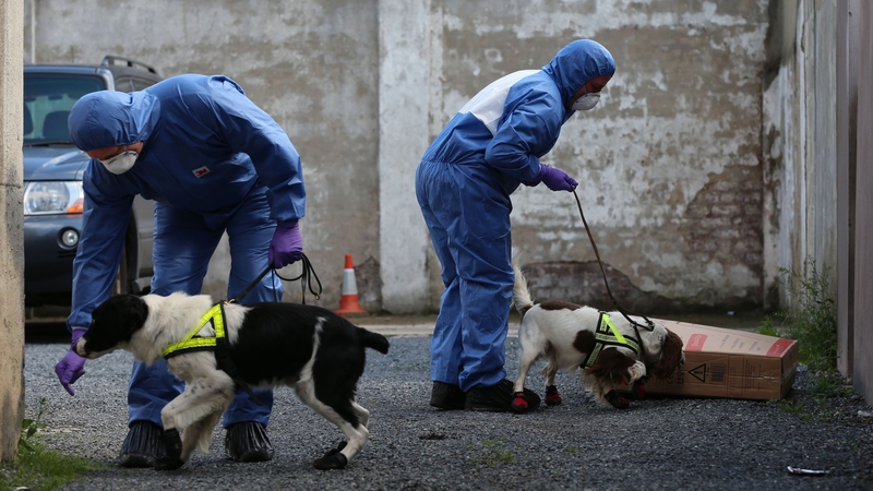 Police with victim recovery dogs in Hanover Street, Portadown, earlier this week