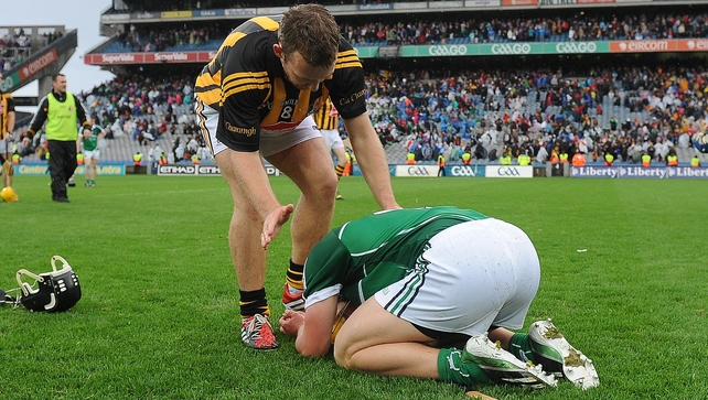 After the storm: Kilkenny's Richie Hogan consoles Wayne McNamara of Limerick after the final whistle