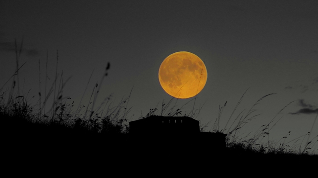 The Supermoon in Dublin's Phoenix Park (Pic: Anthony Lynch)